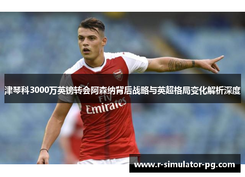 津琴科3000万英镑转会阿森纳背后战略与英超格局变化解析深度